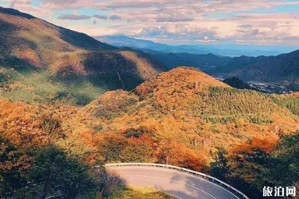 2019日本红叶预测图+观赏地点推荐