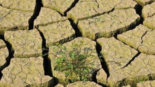 内蒙古干旱发生面积牧区超5成 全区气温明显升高可达35℃