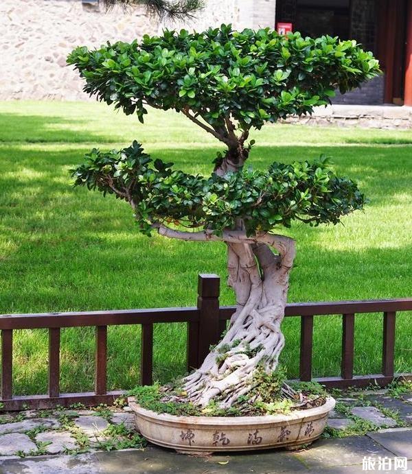 2019年8月承德适合避暑的地方吗