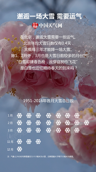最终-4_副本.jpg