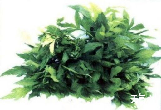 云南玉溪知名特产有哪些   适合中秋节送的玉溪特产