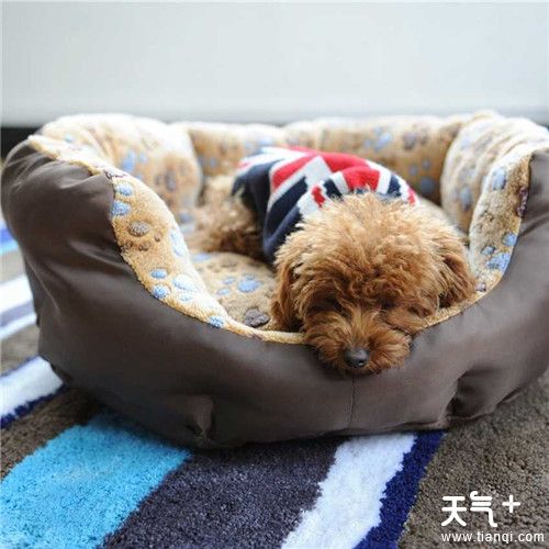 废旧床单如何变废为宝 教你几招立马变废为宝
