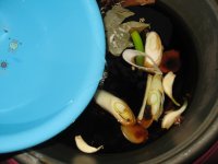 香酥鲅鱼的做法步骤13