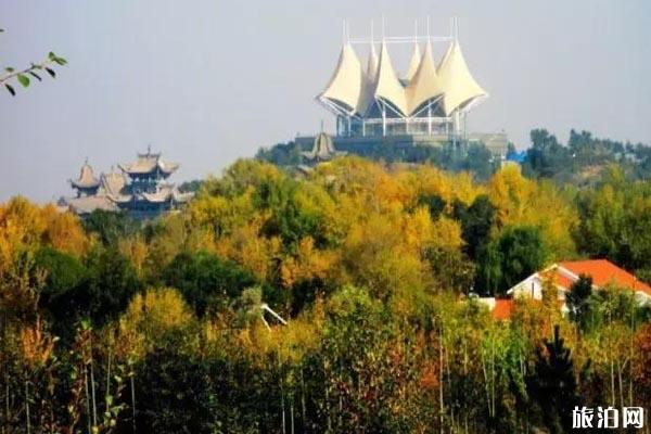 青海秋景最美的地方推荐