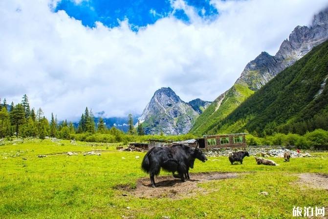 四姑娘山旅游攻略2019