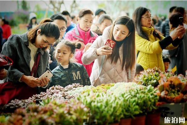 2019重庆江北嘴中央商务区城市花博会11月1日开启