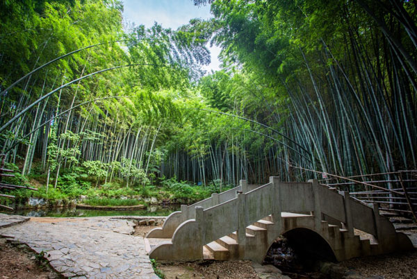 南京春游哪里最好玩 南京春游的好地方