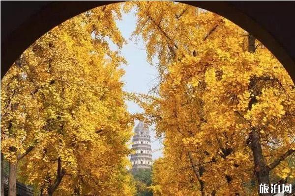 2019苏州秋游哪里好玩+游玩攻略