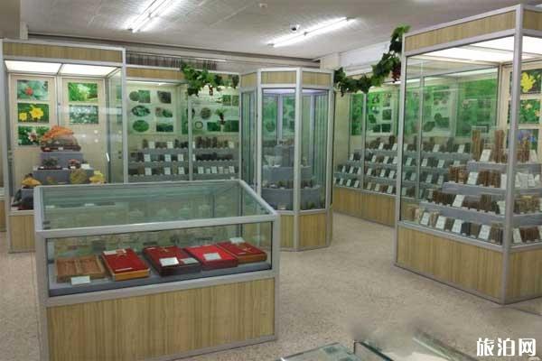 北京中医药大学中医药博物馆怎么样+地址+交通