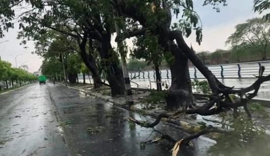 缅甸多地遭遇强风暴雨冰雹袭击 多处树木倒塌场面一度狼藉