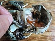 香辣蟹火锅的做法步骤6