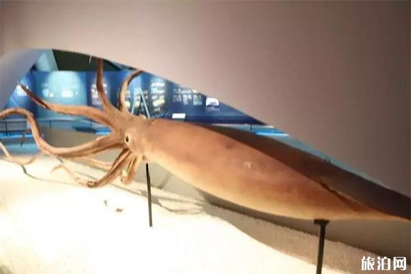 国家海洋博物馆有几个展厅