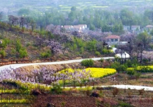安徽淮北旅游景点