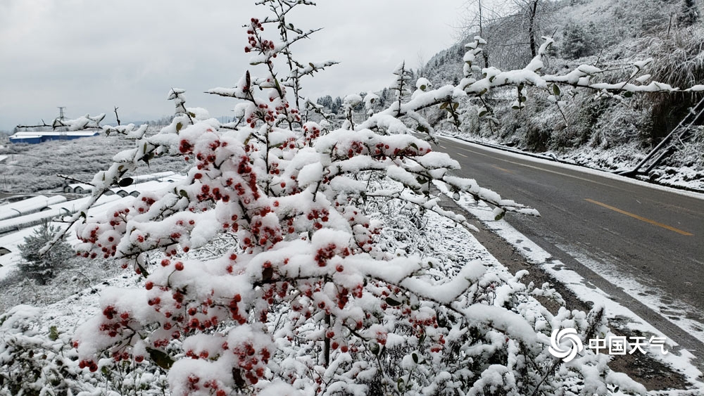 下雪啦！贵州多地今冬初雪悄然而至 天地浑然一体