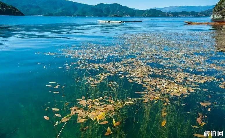 泸沽湖在哪里 泸沽湖怎么玩 泸沽湖在哪里 泸沽湖怎么玩