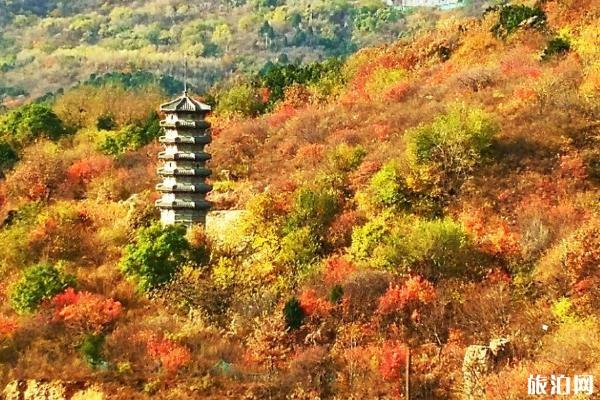 昆明旅游攻略景点必去