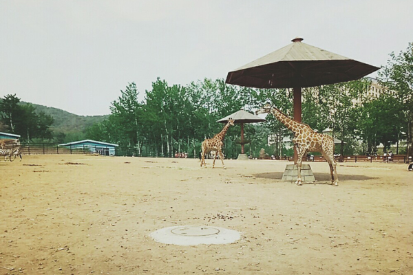 大连好玩的地方 大连景点