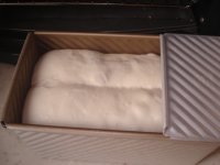红豆白土司的做法步骤8