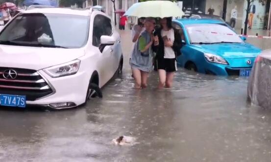 成都暴雨多路段积水严重交通管制 市区45条公交线路绕行