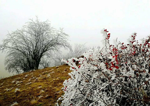 重庆迎下半年来最冷天 未来三天持续阴雨高山雨夹雪