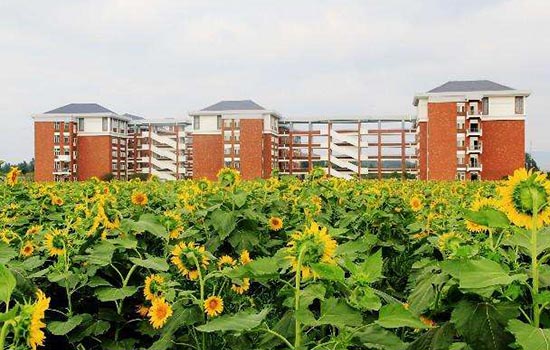 淮北有哪些大学