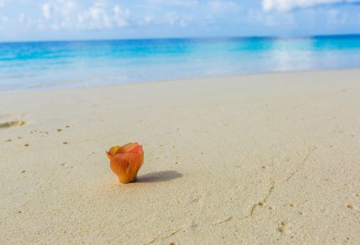 马尔代夫旅游攻略