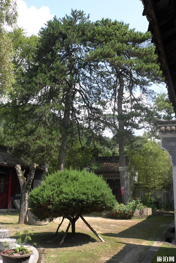 西安到宁陕自驾游攻略