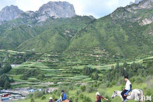 扎尕那旅游攻略 扎尕那海拔多少米高