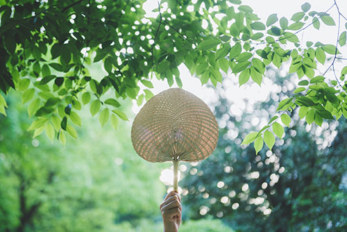 2019年立夏是哪天 立夏的由来