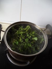 荠菜豆腐春卷的做法步骤8