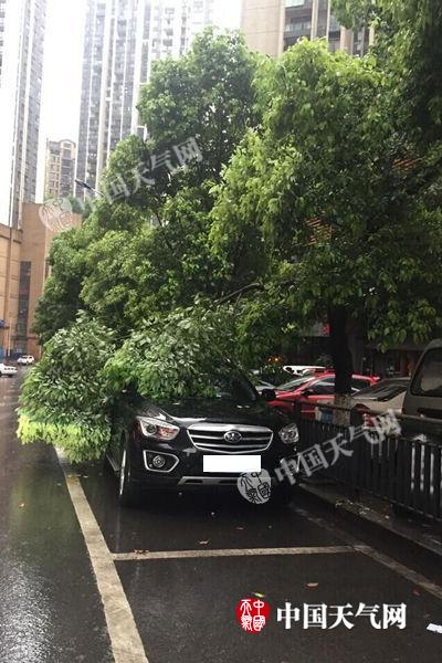QQ图片20180405112941.jpg