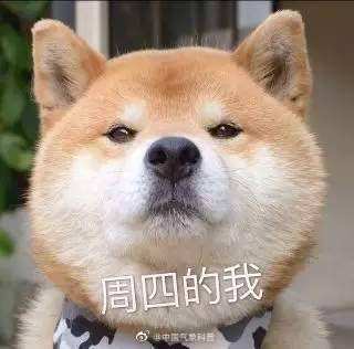 雨水东南多中西少 气温昼夜温差大