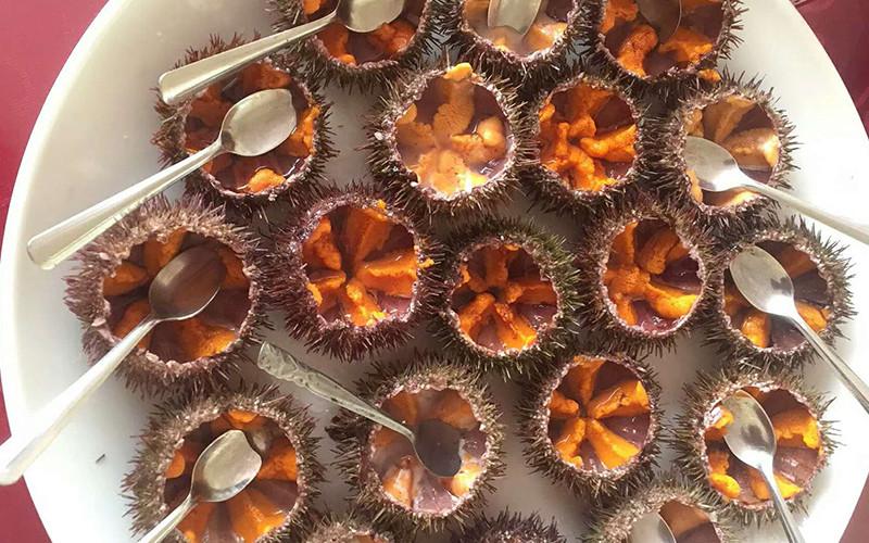 大连哈仙岛旅游攻略 大连哈仙岛好玩吗