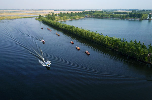 白洋淀的荷花什么时候开 白洋淀荷花几月份开