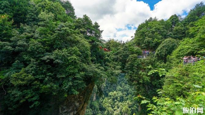 张家界四日游攻略路线