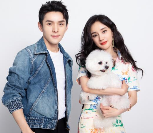 杨幂情商是怎么回事 杨幂情商到底有多高