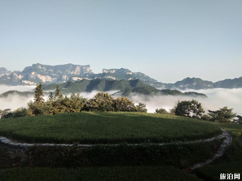 张家界三日游攻略最新
