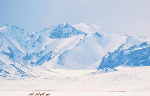 世界第三极究竟有多美？夜晚的珠峰你见过吗