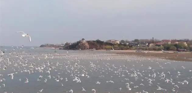 2020北戴河五一什么温度？五一劳动节北戴河冷吗