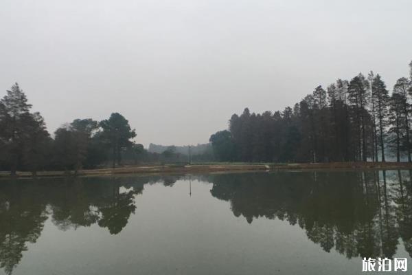 2019武汉免费旅游景点有哪些