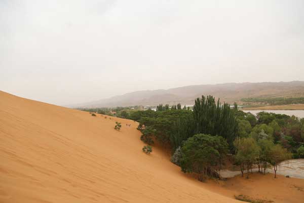 沙湖和沙坡头的区别在哪 沙湖和沙坡头哪个更好玩