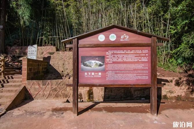 四面山旅游攻略一日游 四面山旅游攻略一日游