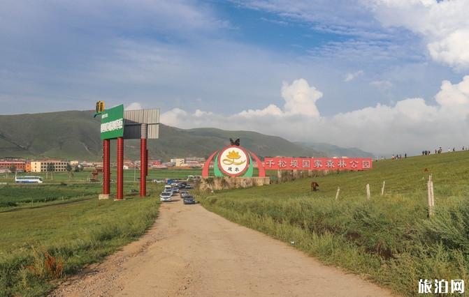 柳树沟稀树草原在哪里 柳树沟稀树草原游玩攻略 柳树沟稀树草原在哪里 柳树沟稀树草原游玩攻略