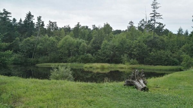 北方赏花去哪 北方去哪赏花最好