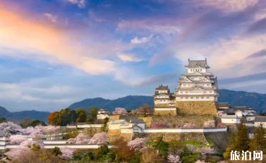 日本哪些地方可以看樱花 日本樱花地推荐