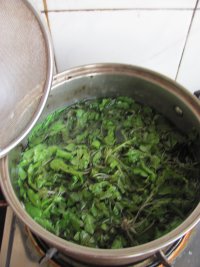 荠菜大馄饨的做法步骤5