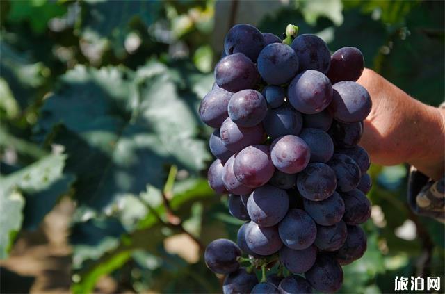 北京神堂峪一日游攻略