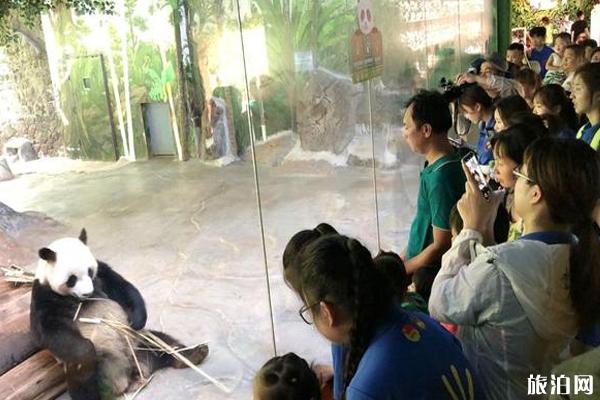 2019海口七夕节有什么活动