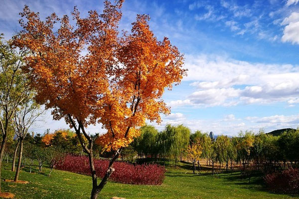 北京周边有什么好玩的地方 北京周边旅游好去处