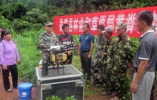 云南治理黄脊竹蝗效果显著  江城全域连续4天未出现蝗虫
